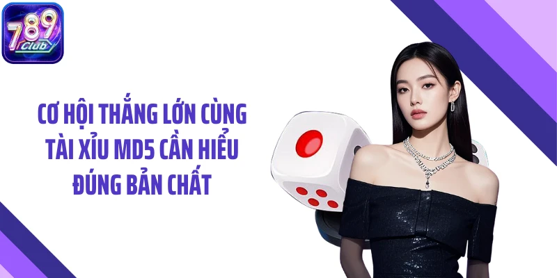 Cơ hội thắng lớn cùng tài xỉu MD5 cần hiểu đúng bản chất
