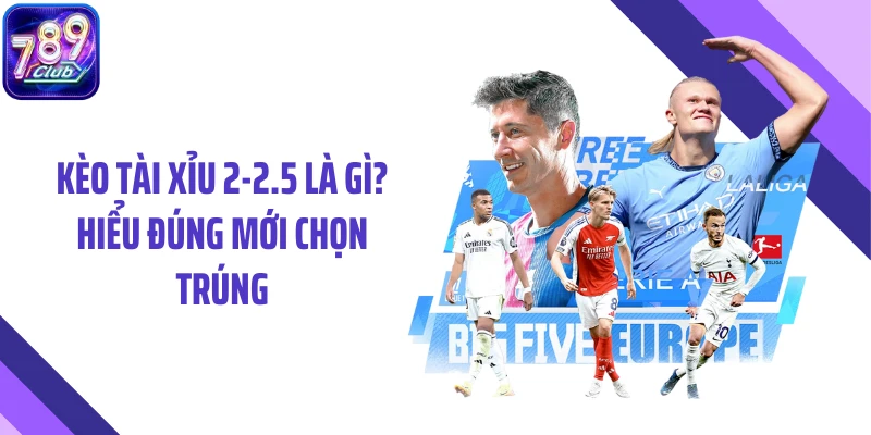Kèo Tài Xỉu 2-2.5 Là Gì? Hiểu Đúng Mới Chọn Trúng
